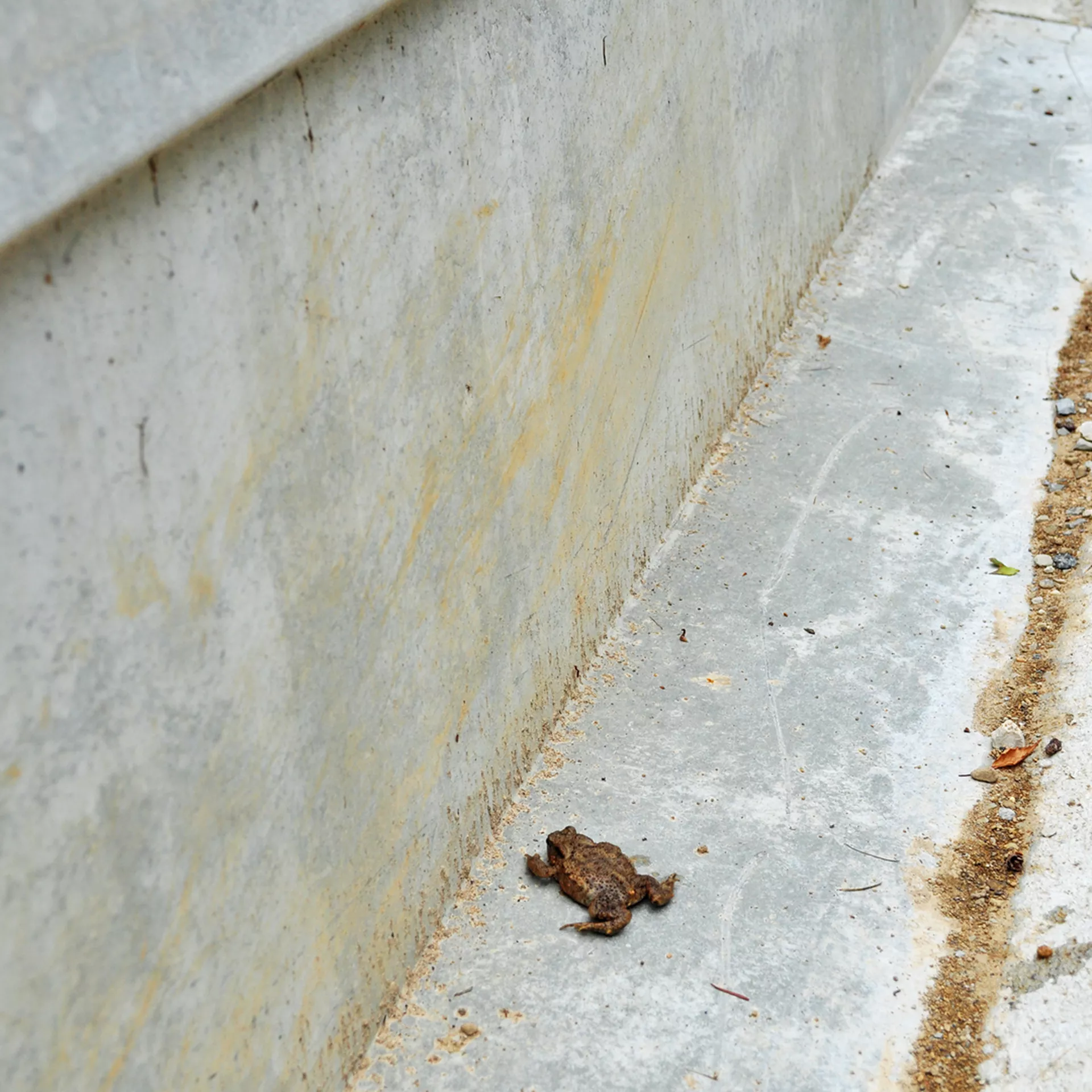 Amphibienleitsystemelemente