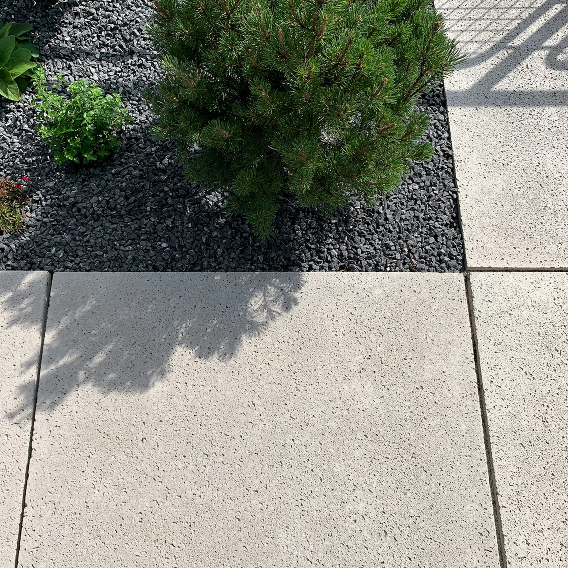 Dalles de jardin TRAVINA avec structure fine en travertin