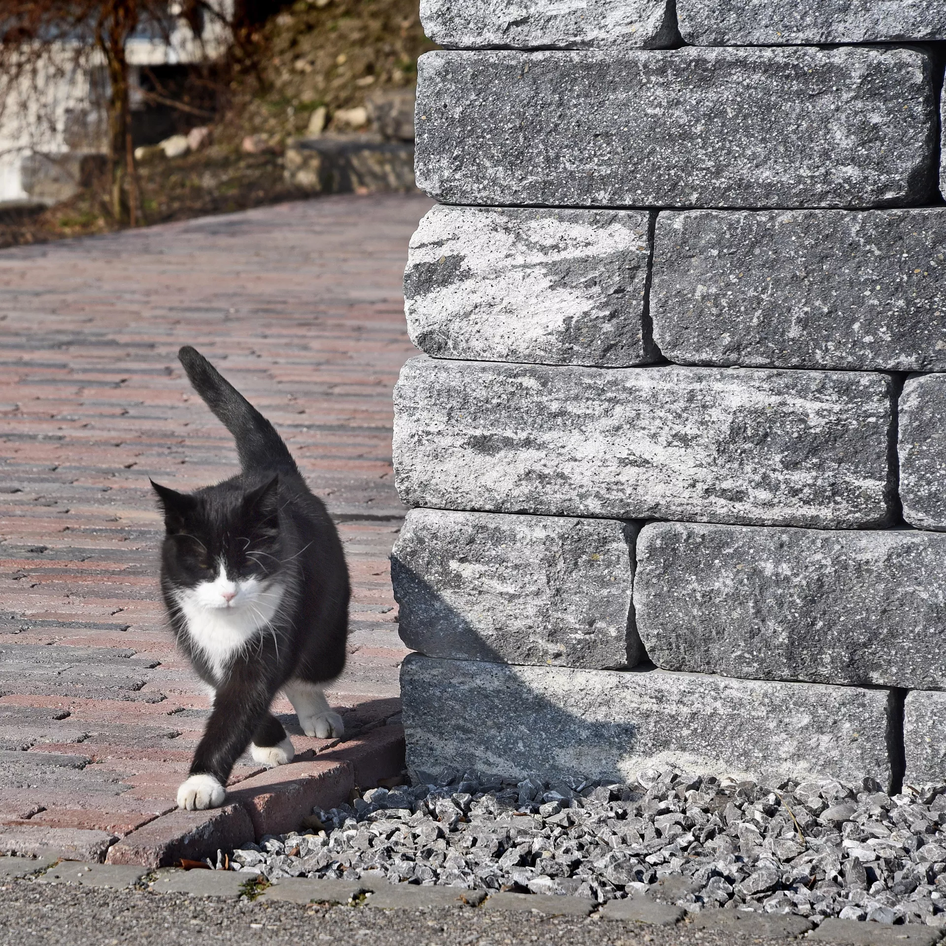 Mur de vignes VERZASCA<sup>®</sup>