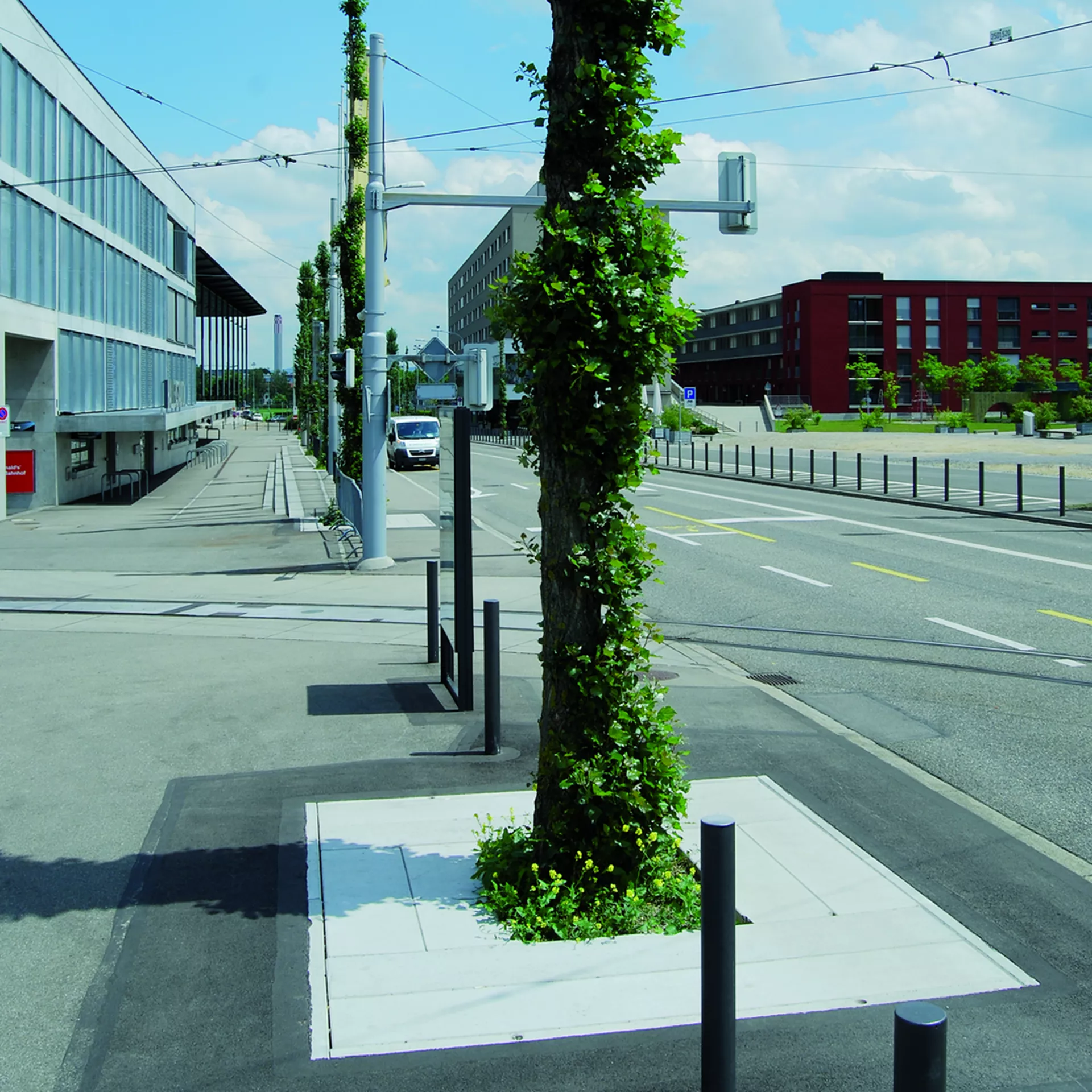 F+F Baumwurzelraumschutz Basiselemente