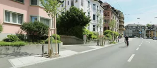Baumwurzelschutz