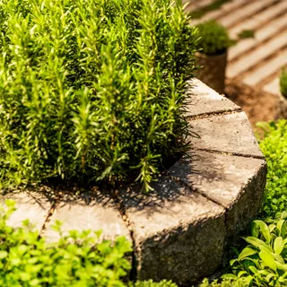 SANTURO<sup>®</sup> Kräuterschnecke Finito