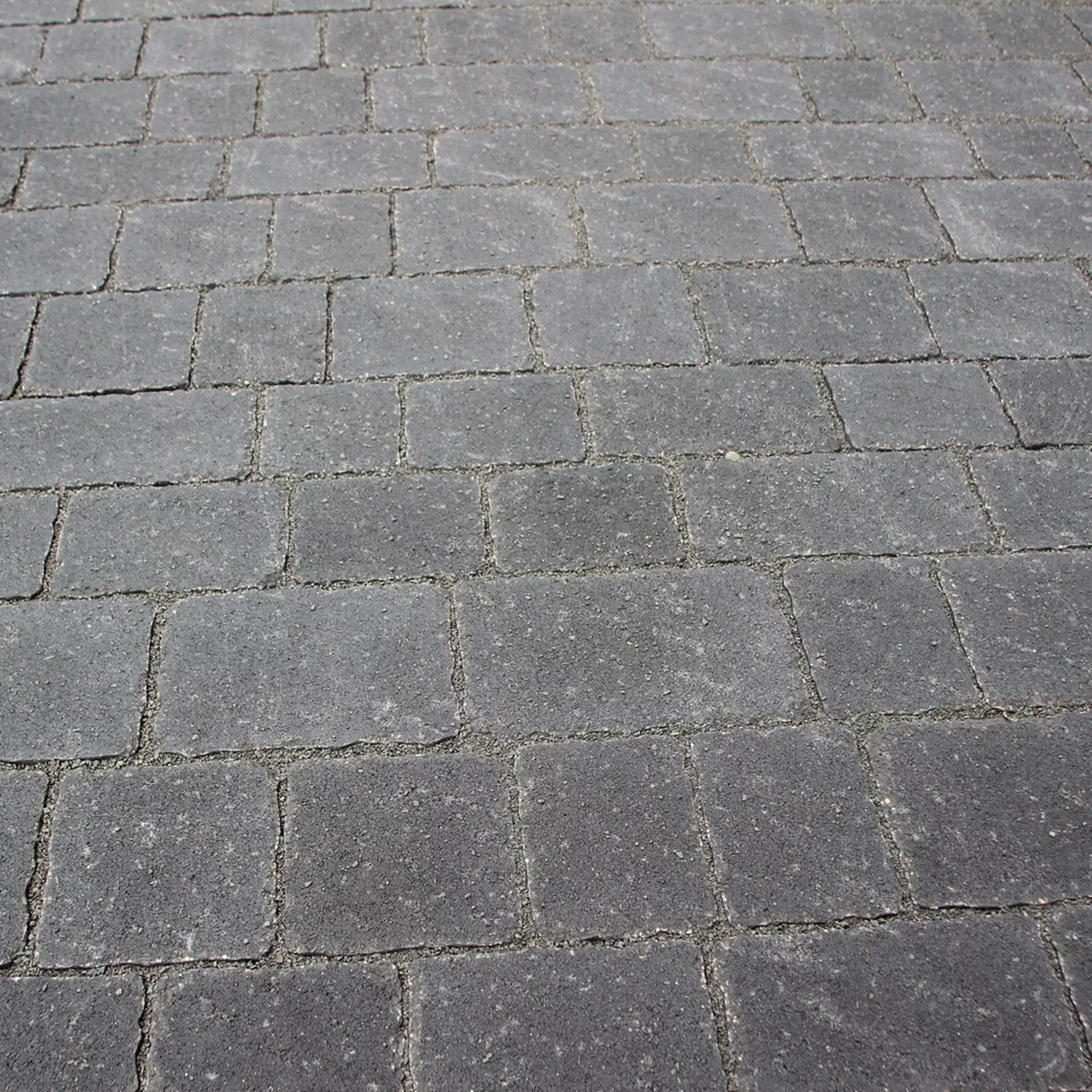 FRIEDA<sup>®</sup> Wildpflaster