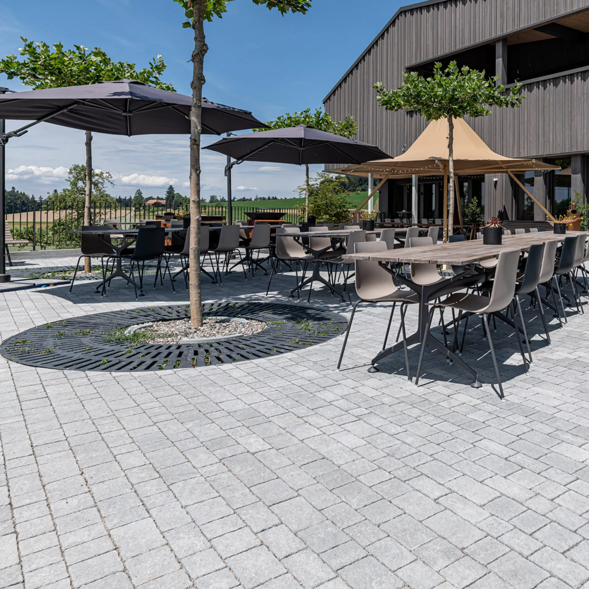 FRIEDA<sup>®</sup> Wildpflaster