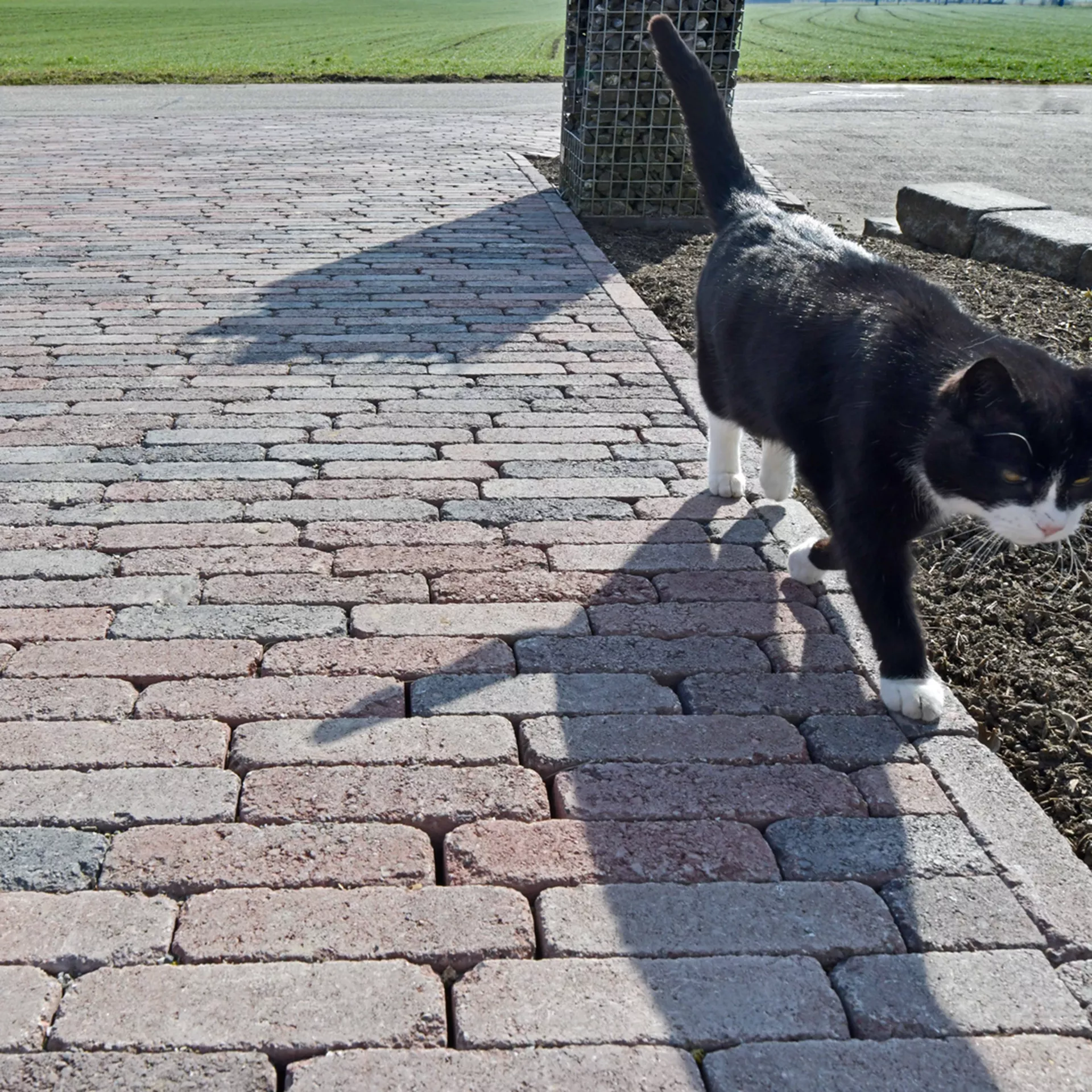 RIEMO<sup>®</sup> Pflastersteine