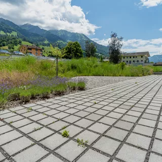 CARENA<sup>®</sup> RASEN Ökosteine gefast