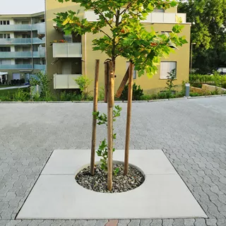 Entourages d'arbres BAUMFIX®