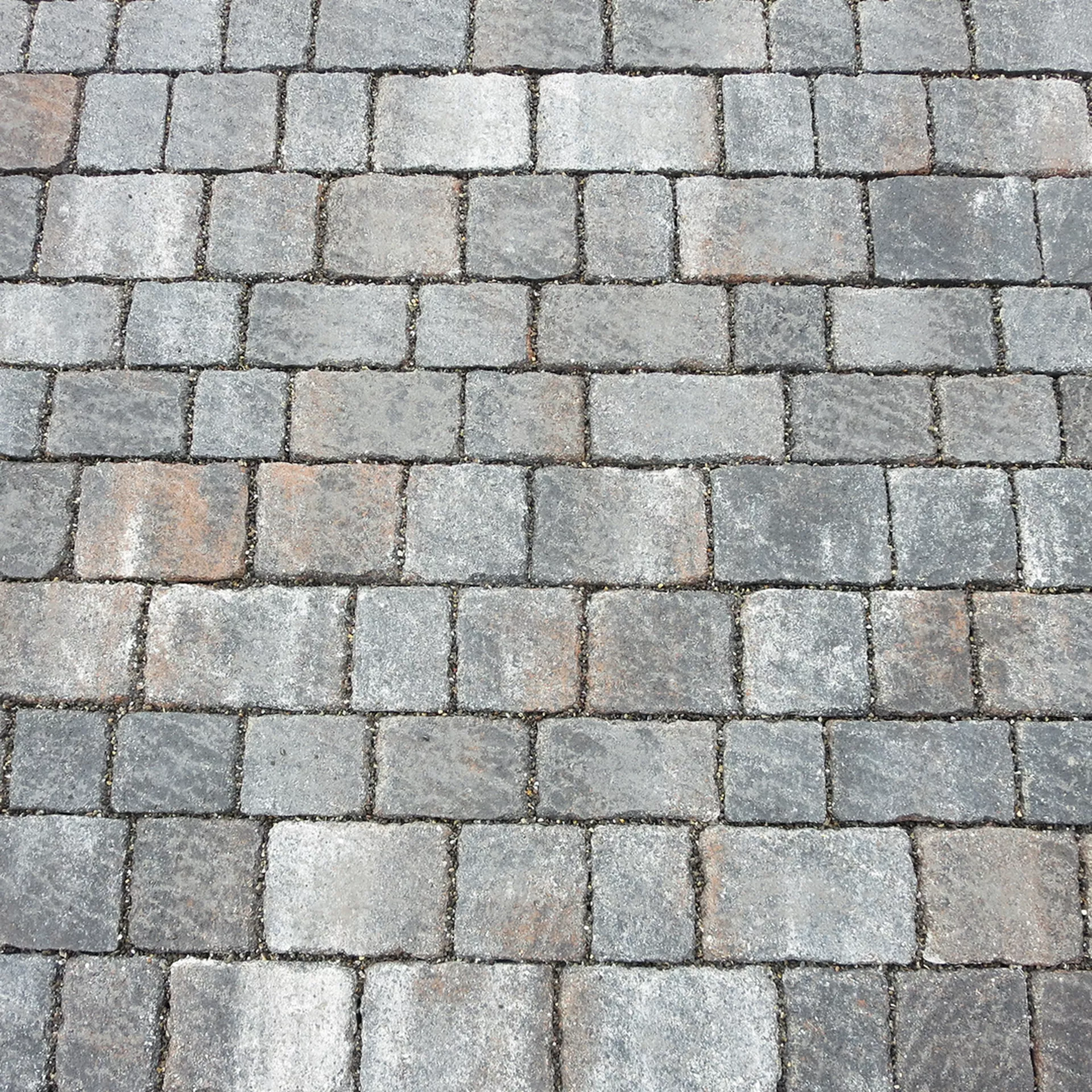 FRIEDA<sup>®</sup> Wildpflaster