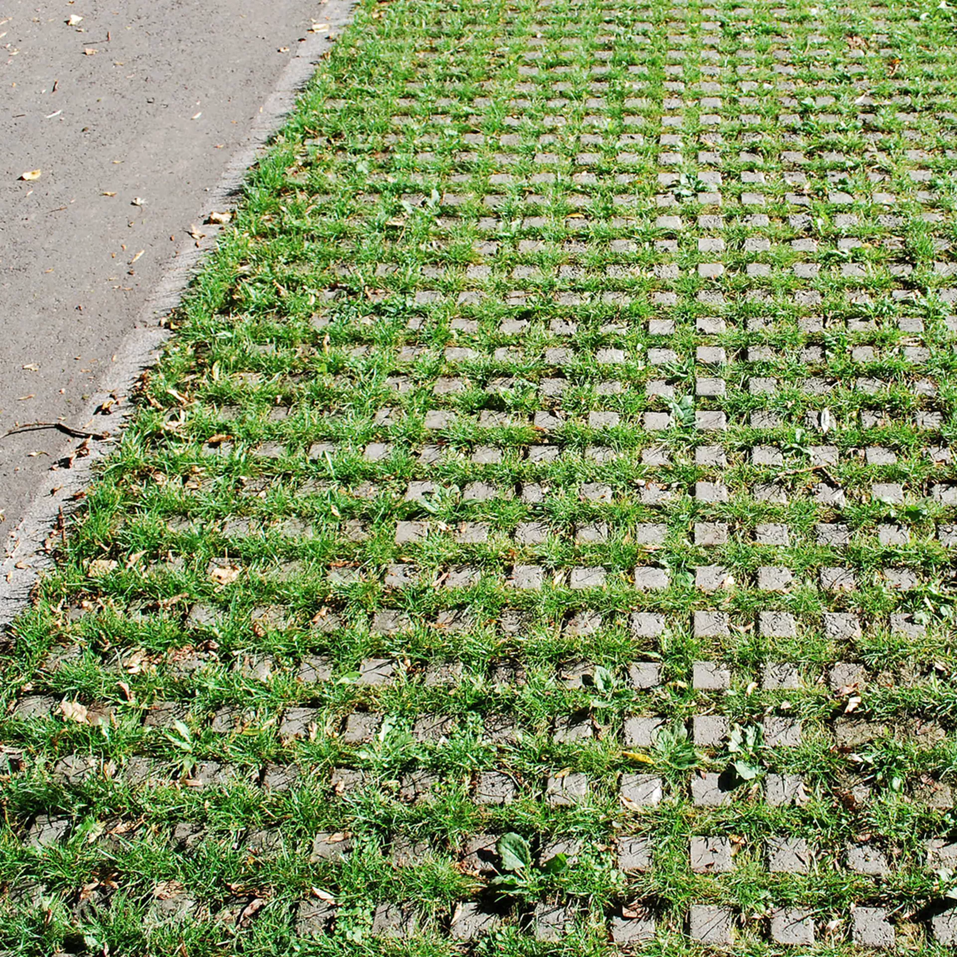 BUGNATO Rasengittersteine