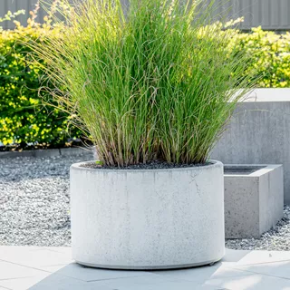 PARCO<sup>®</sup> Pflanzentröge rund